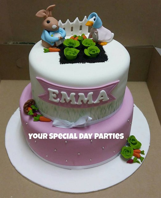 Peter Rabbit Cake by Moyra Werner of Your Special Day Parties, Cakes & Occasions