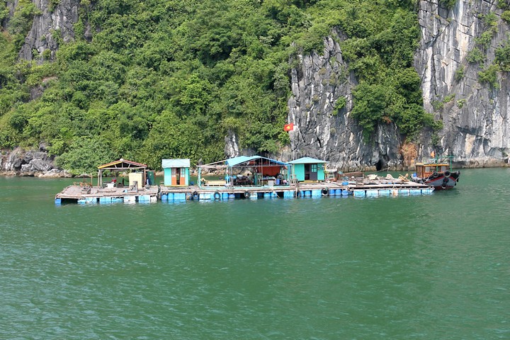Crucero de 2 días por la Bahía de Halong