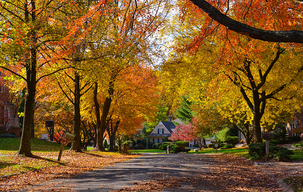 Fall in the Neighborhood