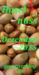 Garten-Koch-Event Dezember 2015: Haselnuss [31.12.2015]
