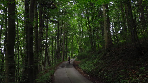 salzburg trekking austria österreich babsi mattsee seenland obertrumersee trumerseen trekkingbike mw1504 grabensee trekkingbiketour 27092015