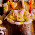 Bobbie Cake withTiger candles