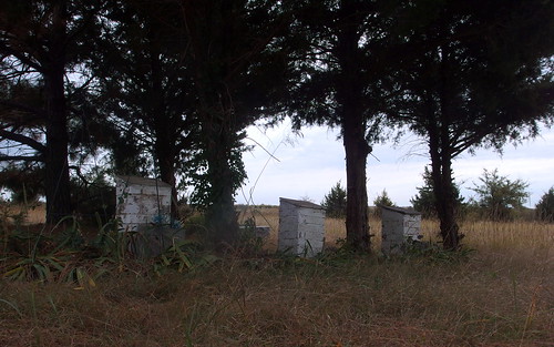 oklahoma cemetery okfuskeecounty