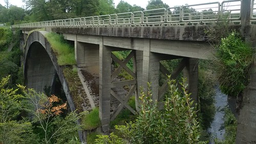 puente región de los ríos