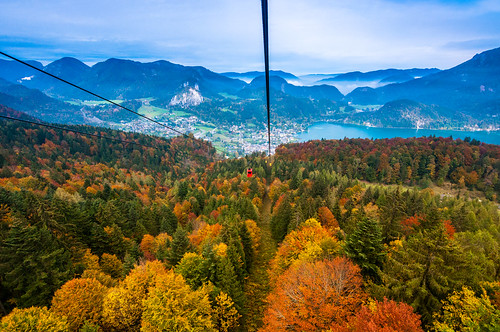 autumn trees salzburg fall colors leaves austria österreich colorful cablecar zipline pathway wolfgangsee salzkammergut stgilgen sanktgilgen at zwoelferhorn
