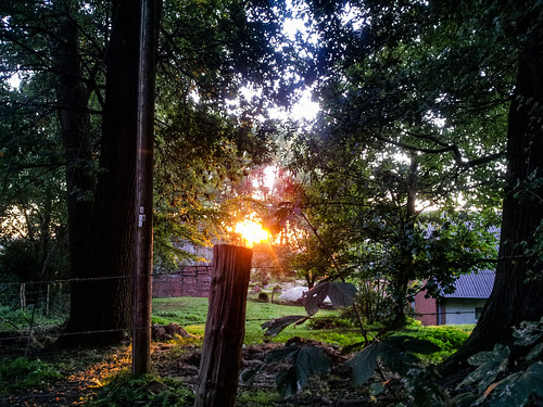 wood sunset sun sol forest germany deutschland abend solar countryside weide sonnenuntergang forrest country land sonne wald bäume baum idylle rosendahl darfeld