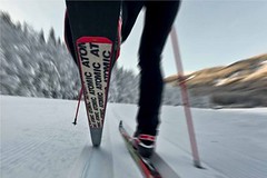 Přehled skin lyží pro sezonu 2016/2017