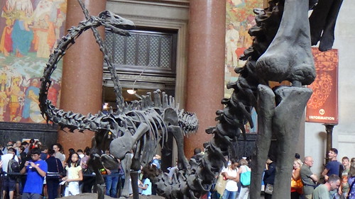 New York Natural History Museum Aug 15 (10)