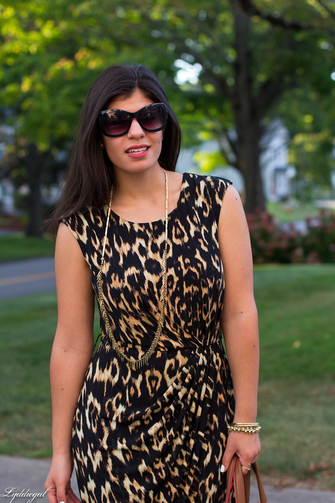 leopard dress, brown bag, platform sandals-4.jpg