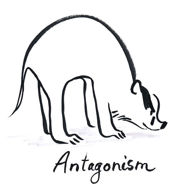 Antagonism #badger #badgerlog #inktober #inktober2015 #kuretake #kuretakeinktober #usa