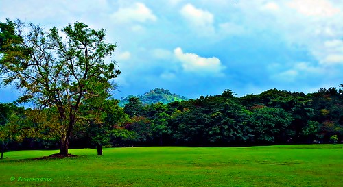 blue sky cloud mountain plant green garden landscape hill environment pasuruan