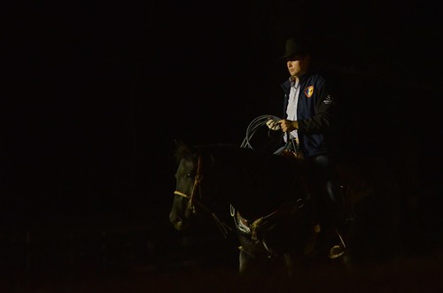 cowboy balckhorse horse night spotlight rodeo gayga qcarena