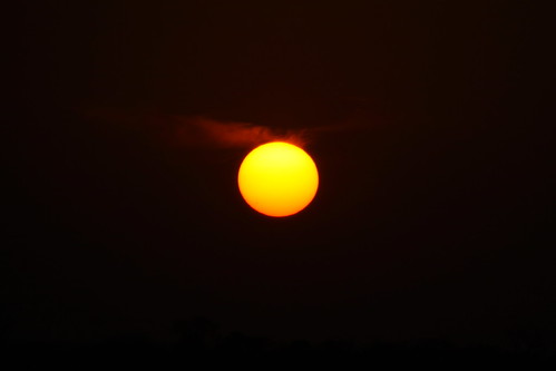 africa sunset game sol drive do south safari por sul kruger áfrica