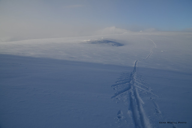 Ski tracks, Tundra