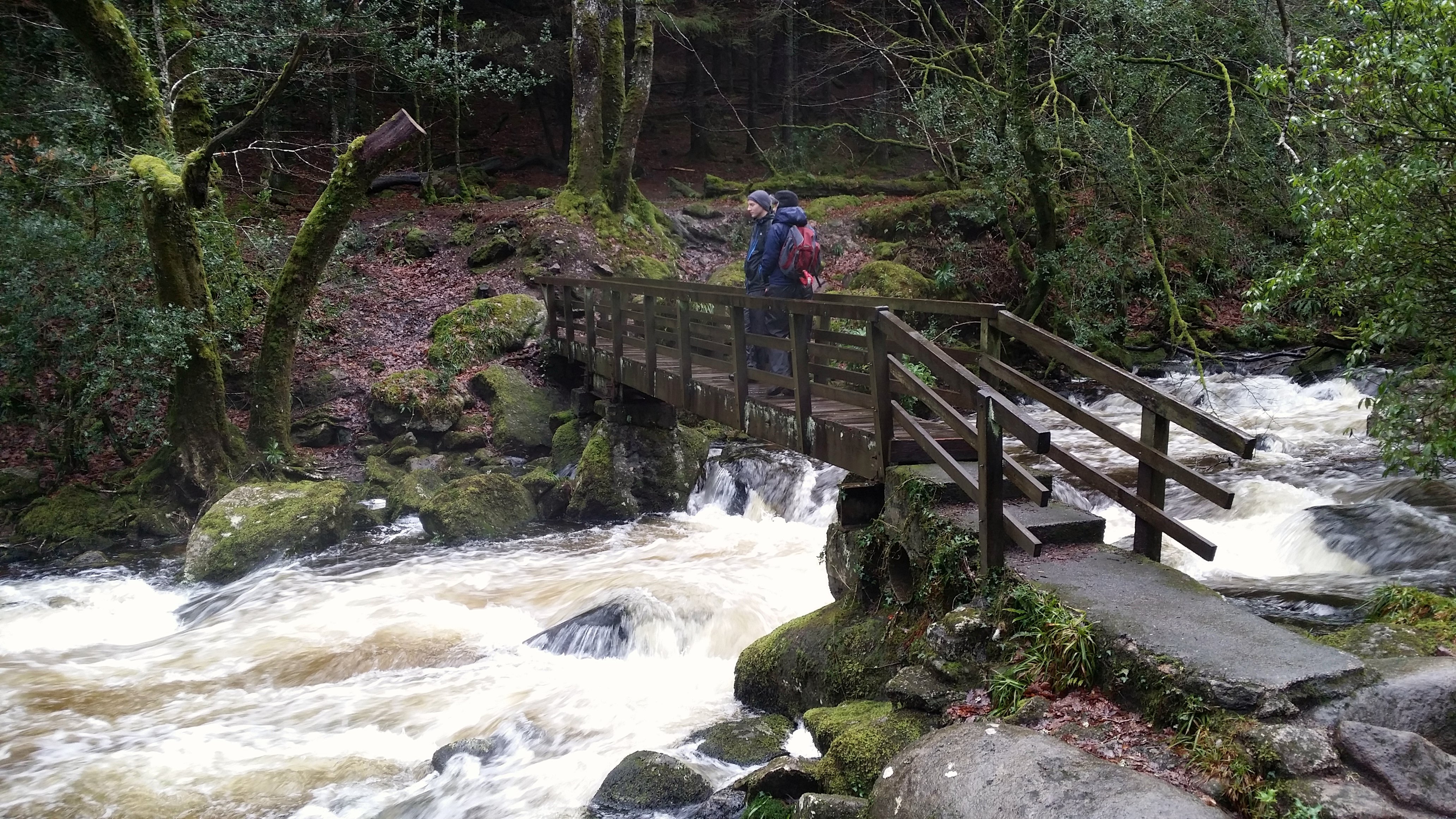 Crossing the North Teign. So @paulgbuck there is actually a bridge #dartmoor #sh