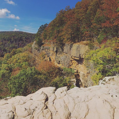 adventure autumn hawksbillcrag whitakerpointtrail bluff bluffs woods woodland wilderness nature hiking instagramapp square squareformat iphoneography gingham