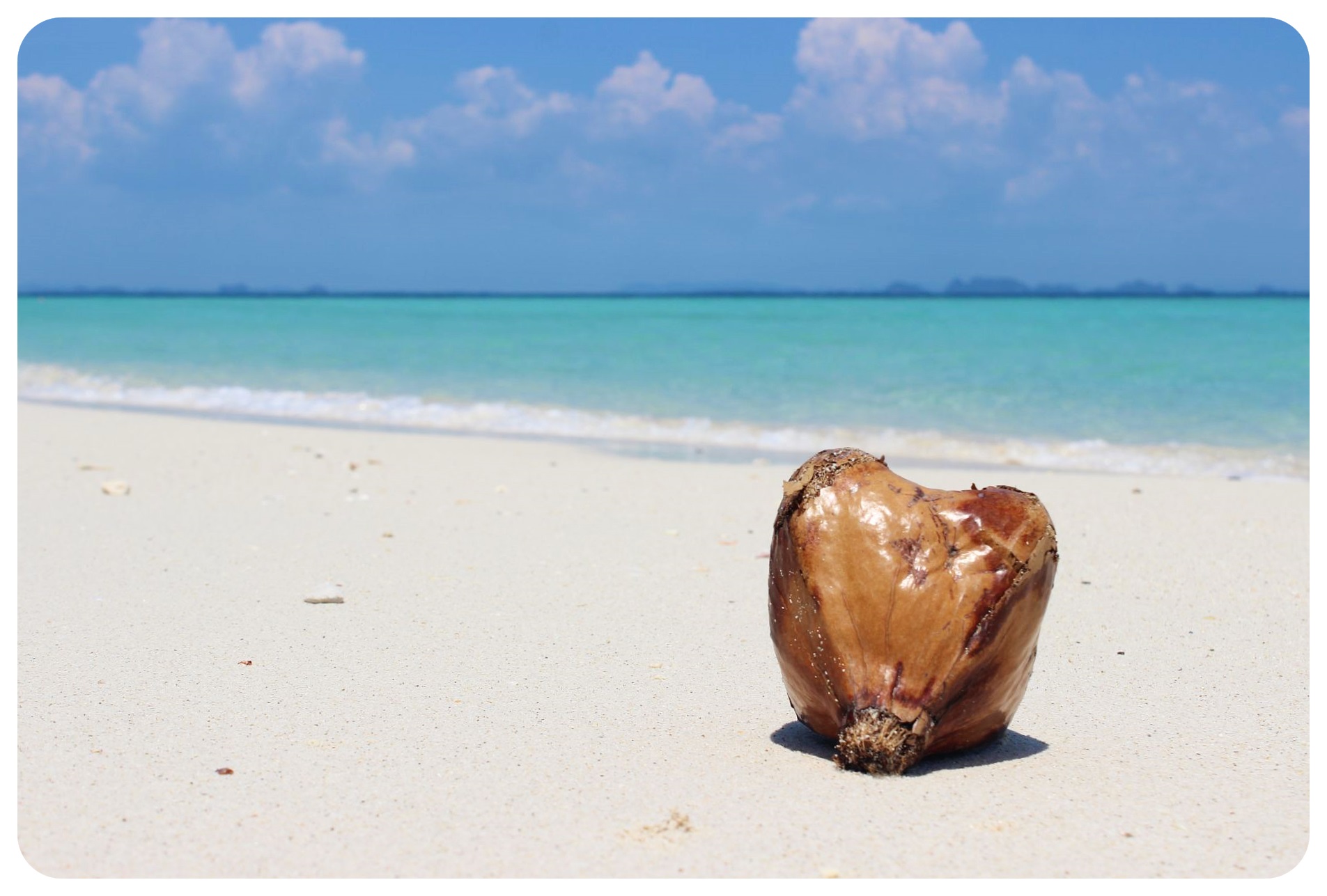 koh poda beach coconut