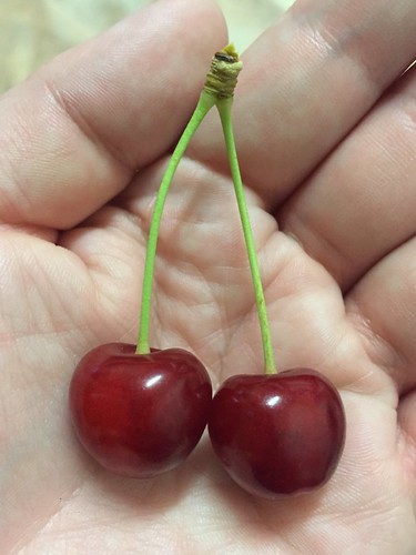 A pair of cute little cherries from our tree :)