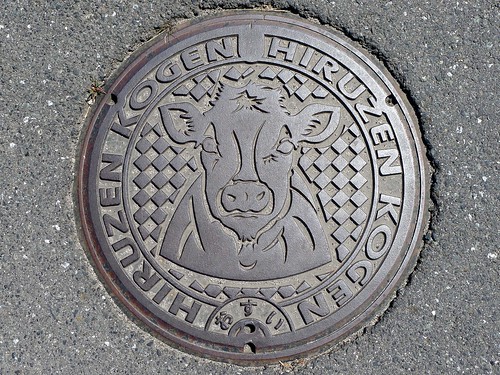 Hiruzen Kogen, Kawakami Okayama, manhole cover （岡山県川上村蒜山高原のマンホール）