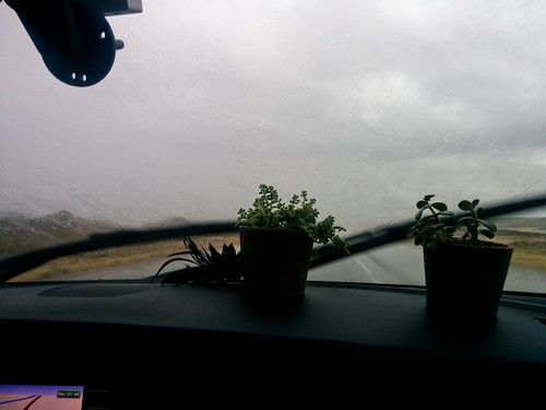 In the Car (so much rain)