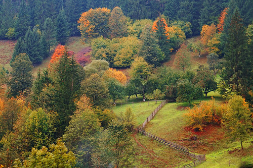 autumn fall colors landscape seasons toamna moldova bucovina campulung suceava