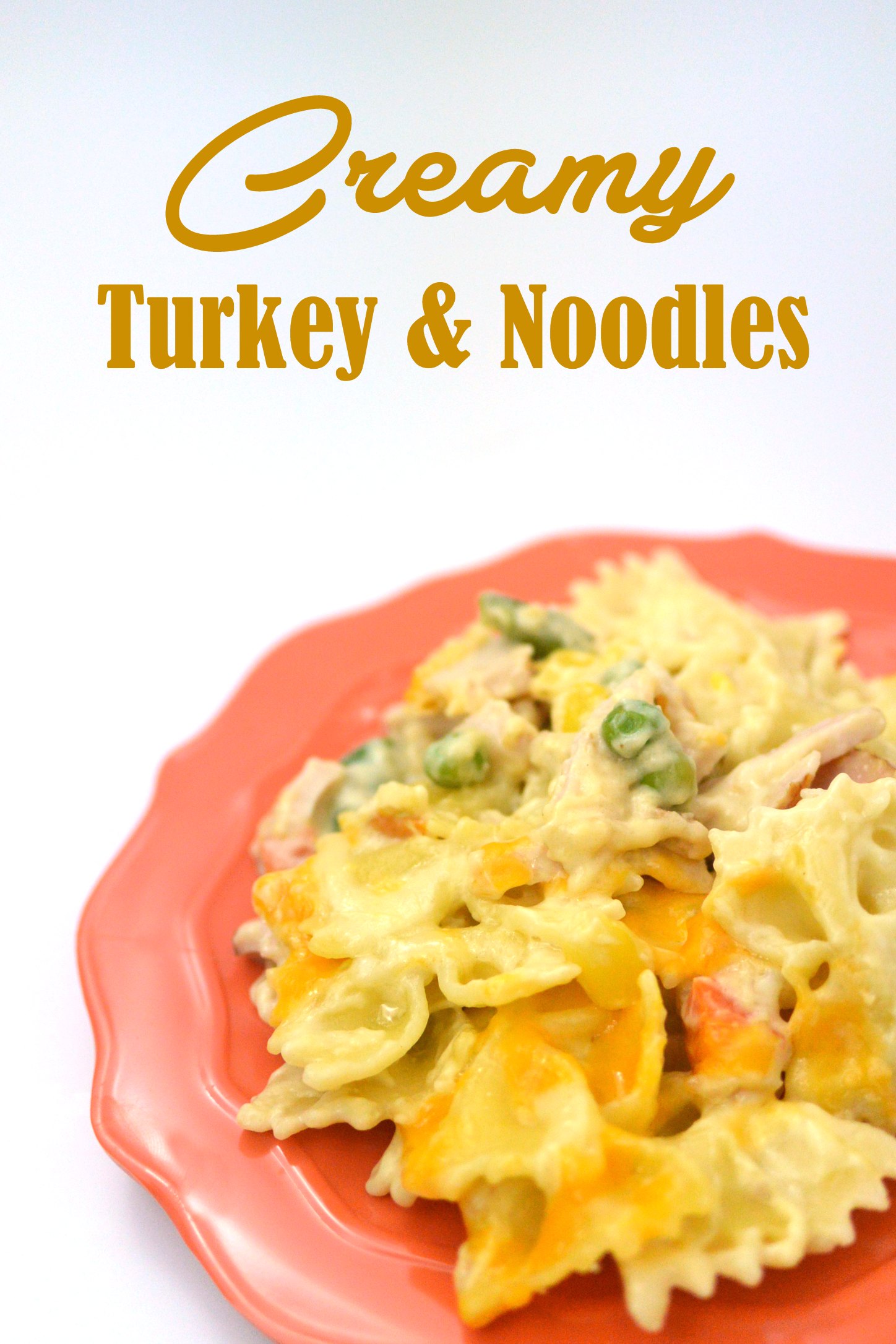Turkey and Noodle Recipe