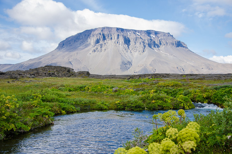 Dia 5: Askja, primera excursión al centro de la isla - Islandia o como viajar al planeta del hielo y el fuego (4)