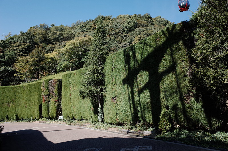 神戸布引ハーブ園緑の壁