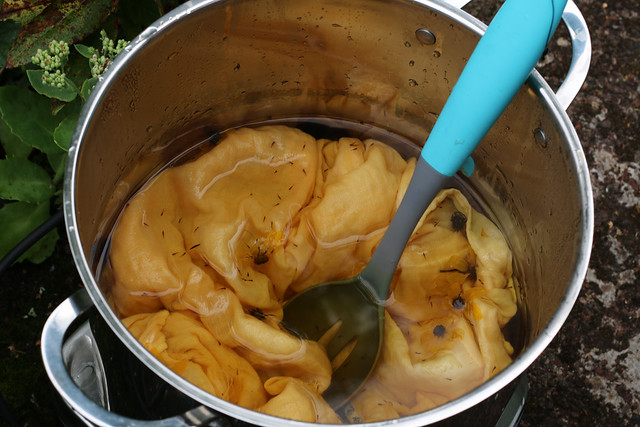 Natural Dyeing with Bidens