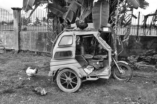 tricycle philippines valley yamaha cagayan isabela luzon santiagocity p1010283