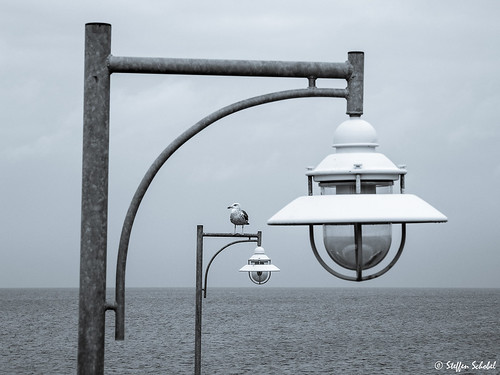 sea lamp lampe pier meer seagull balticsea rügen möwe ostsee steg sellin