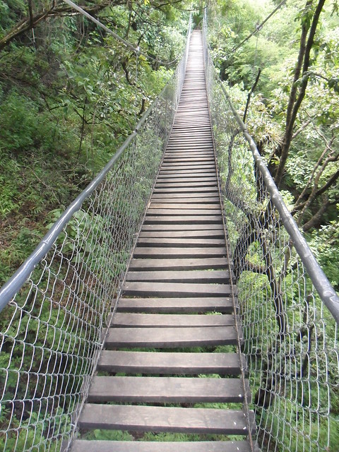 Ponts de fusta a la Reserva Atitlan.