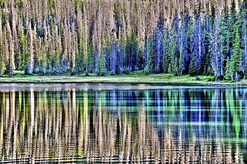 eechillington nikond90 lakefehr reflections water abstract trees light nature vista lake corelpaintshoppro viewnx2 hiking utah uintahs explored patterns