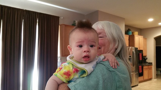Parker at 7 Months Old | shirley shirley bo birley Blog