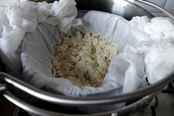 Straining cheese curds by Misericordia