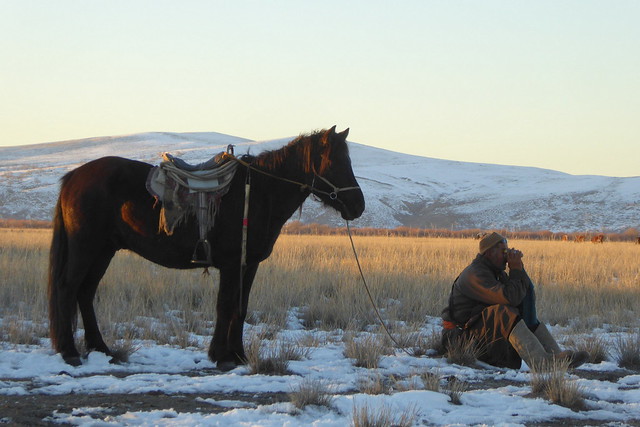 Mongolian Herder