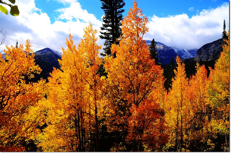 2015 Rockies in Fall, Bear Lake Area (32)