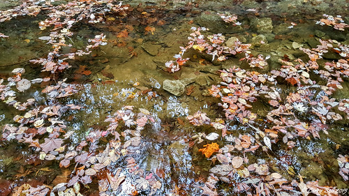 creek us unitedstates alabama dallascounty larrybell orrville larebel crumptonia larebell athensbaptistchurch