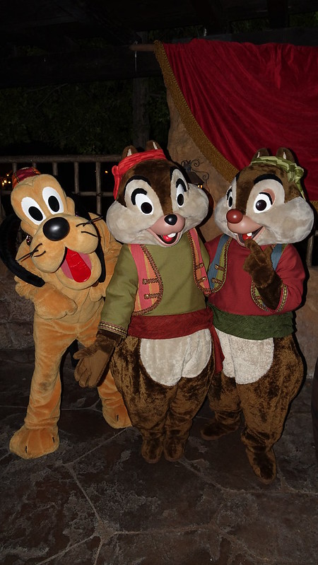 Pluto with Chip n Dale Pirates at Disneyland Halloween Party