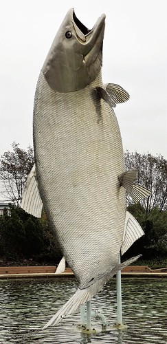sculpture fish canada big large salmon newbrunswick roadsideattraction mypics campbellton restigouchesam