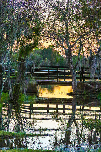 texas wallercounty fieldstore josephroad springcreek trees creek country stream sunset silhouttes water bridge tributary wyojones np