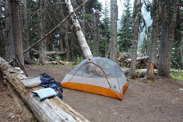 Campsite at Hopkins Lake