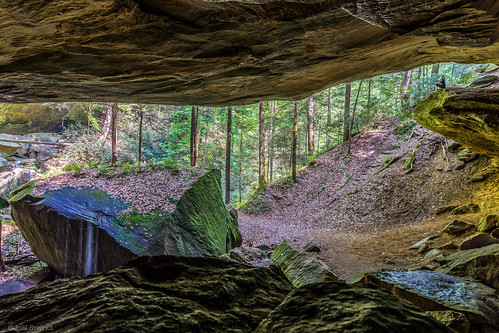 statepark travel trees summer usa nature forest outdoors rocks hiking kentucky sony adventure climbing cave caving exploration hdr redrivergorge danielboonenationalforest a6000 danielboon sony16503556