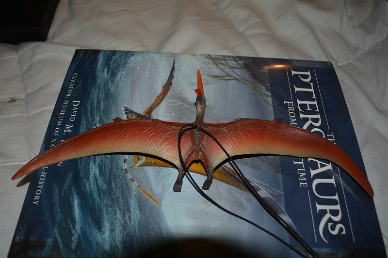 Bullyland Pteranodons 21878239770_c4059911bb_b