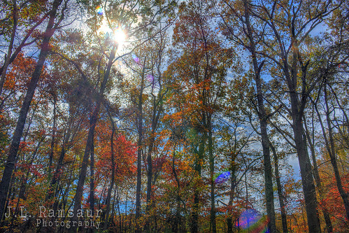 blue autumn sunset red orange fallleaves brown sun sunlight fall nature leaves yellow sunrise landscape outdoors photography photo nikon colorful tennessee fallcolors bluesky pic autumncolors photograph lensflare flare daytime thesouth sunrays hdr cumberlandplateau sunflare cookeville sunglow 2015 photomatix fallseason putnamcounty cookevilletn autumnsunshine bracketed middletennessee hdrphotomatix hdrimaging fallinthesouth cookevilletennessee ibeauty southernlandscape tennesseefall hdraddicted tennesseephotographer southernphotography screamofthephotographer hdrvillage jlrphotography photographyforgod autumninthesouth worldhdr tennesseehdr d7200 tennesseeautumn hdrrighthererightnow engineerswithcameras hdrworlds god’sartwork nature’spaintbrush jlramsaurphotography nikond7200 cookevegas