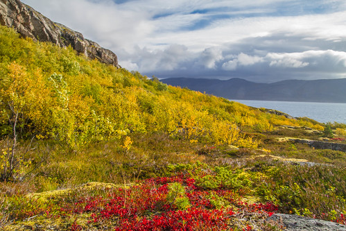 autumn landscape autumncolors tjeldøya artscapenordland skulpturlandskapnordland myklebostad mediathule