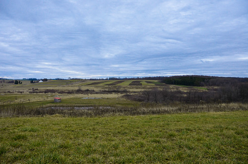 Horizon View Farms - Horizon Hill