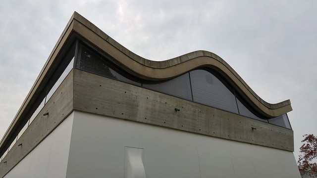 I love this roofline. Modern, but I can see nods to the architecture around it.