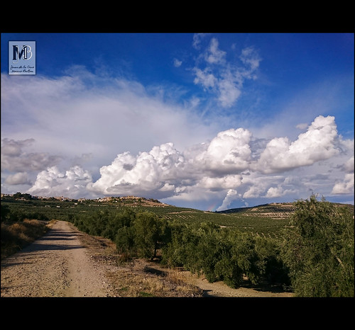 naturaleza nubes olivos úbeda paseos olivar 2015 camperosdelaloma caminodegranada
