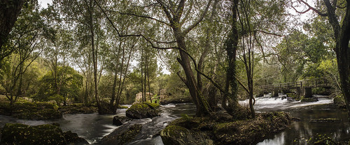 rio carballo refugiodeverdes anllónsrio